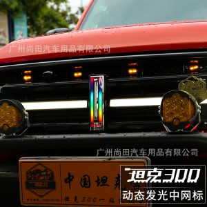 โลโก้หน้าไฟ LED พร้อมแสงต้อนรับแบบไดนามิกสำหรับ TANK 300