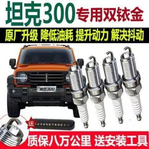 Dual Iridium Spark Plug for TANK 300 2.0T - High Performance Upgrade