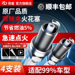 High-Performance Dual Iridium Spark Plug for TANK 300 400 500 700 and Denza Series