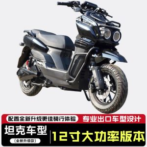 TAKE High-Speed Electric Vehicle Tank 300 Design 2000W 72V 60Ah 75km/h E-Bike