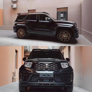 Набор переднего и заднего обвеса из сухого углеродного волокна для TANK 700 Hi4-T Limited Edition