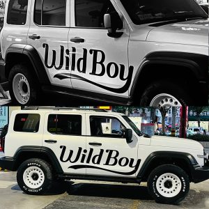 สติ๊กเกอร์แต่งภายนอกและลายประตูข้าง WILDBOY สำหรับ TANK 300