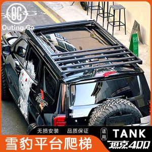 บันไดติดตั้งบนหลังค่ารุ่น Snow Leopard สำหรับ TANK 400 Hi4-T – การปกป้องและการตกแต่งด้านข้าง