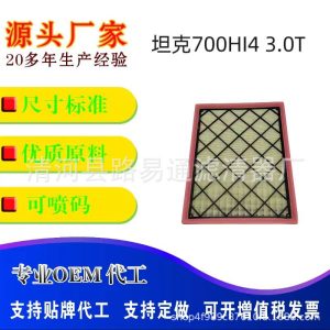 ตัวกรองอากาศเครื่องยนต์สำหรับ TANK 700 Hi4-T 3.0T