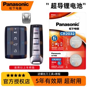 Высококачественная литиевая батарея Panasonic CR2032 для пульта управления автомобилем TANK 300