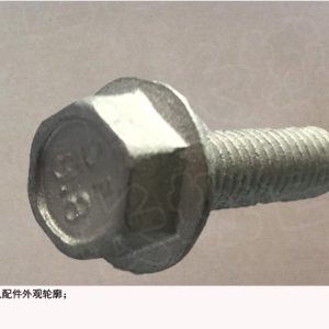 For GWM Tank 300 Ora R1 Hexagon Flange Bolt Q1860620FDE