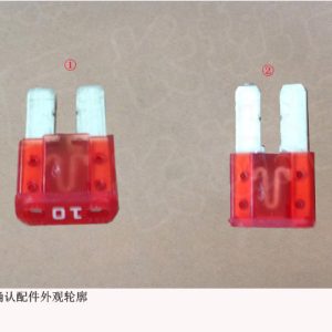 For GWM Tank 300 Haval Big Dog 10A Fuse FM2 10A Power Supply System FM2 10A