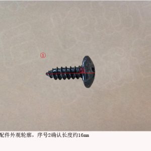 Cross Recessed Large Pan Head Self Tapping Screw Q2734213F31E For GWM Tank 300 Side Trim