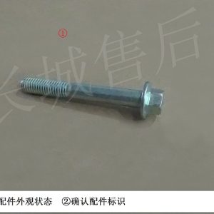 For GWM Tank 300 Hexagon Flange Bolt Q1840860F3E Engine System Fastener