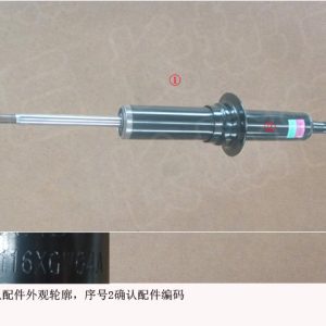 For GWM Tank 300 Front Right Shock Absorber Strut Assembly 2905116XGW04A
