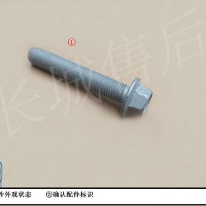For GWM Tank 300 Engine Mount Hexagon Flange Bolt Q184U1060TFDQE