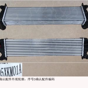 Intercooler Assembly For GWM Tank 300 1119105XKM01A