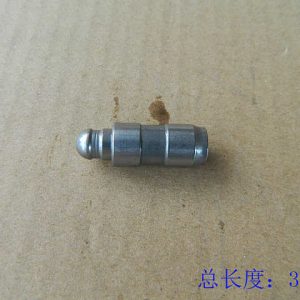 For GWM Tank 300 Hydraulic Tappet Assembly 1007300XEC01