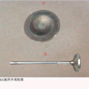 For GWM Tank 300 Engine Intake Valve 1007011AEN01