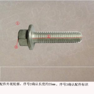 For GWM Tank 300 Engine Hexagon Flange Bolt Q1840625FD720E