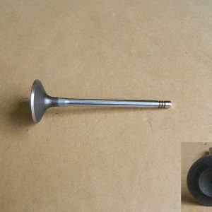 For GWM Tank 300 Intake Valve 1007011XEC01