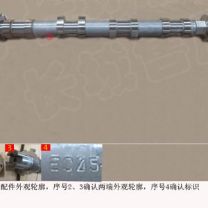For GWM Tank 300 Exhaust Camshaft Assembly 1006200XEC05