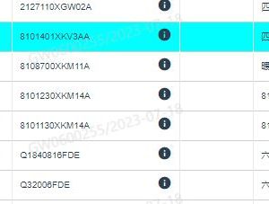 لتركيب صمام أربع اتجاهات لنظام التكييف في سيارة GWM Tank 300، رقم القطعة 8101401XKV3AA