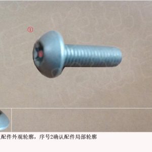 For GWM Tank 300 Engine System Tamper Proof Bolt 09190040