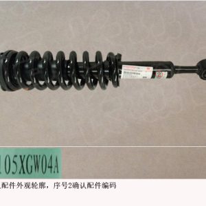 Front Left Shock Absorber and Coil Spring Assembly For GWM Tank 300 2905105XGW04A