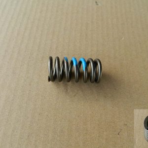 For GWM Tank 300 Exhaust Valve Spring 1007017XEC01