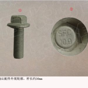 Para o sistema de reboque do GWM Tank 300: parafuso hexagonal com flange Q1841030TFDE