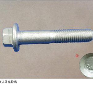 For GWM Tank 300 Hexagon Flange Bolt Q1840845FDE