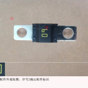 For GWM Tank 500 Power Supply Fuse SF30 60A