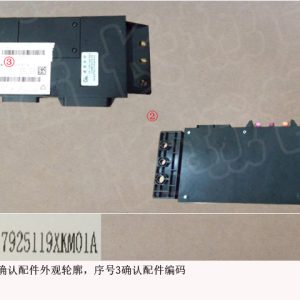 For GWM Tank 300 Vehicle Wireless Terminal 7925119XKM01A