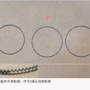 For GWM Tank 300 Oil Ring Assembly Engine System 1004100XEN01