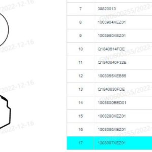 For GWM Tank 500 Shanhai Right Cylinder Head Cover Sound Insulation 1003087XEZ01