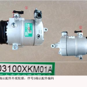 لتجميعة ضاغط التكييف الخاصة بسيارة GWM Tank 300، رقم 8103100XKM01A