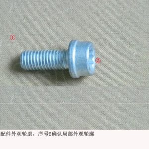 For GWM Tank 300 Oil Cooler Mounting Bolt 1013018XEC01