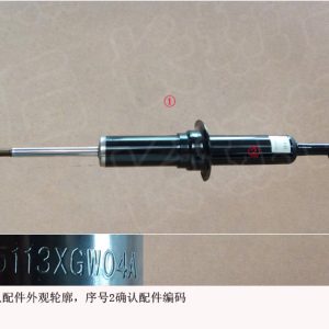 Left Front Shock Absorber Strut Assembly For GWM Tank 300 2905113XGW04A