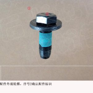 Hexagon Head Bolt and Flat Washer Assembly 09120245 For GWM Tank 300 Seat System