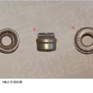 For GWM Tank 300 Valve Stem Seal Assembly 1007100AEC01