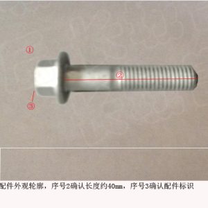 Para GWM Tank 300 - Parafuso de flange hexagonal Q1840840FD720E