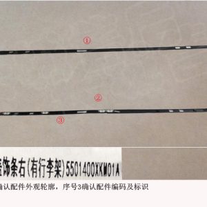 For GWM Tank 300 Right Roof Trim Assembly 5501400XKM01A
