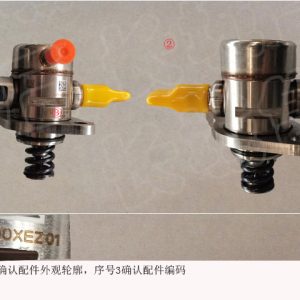 For GWM Tank 500 High Pressure Fuel Pump Assembly 1111100XEZ01