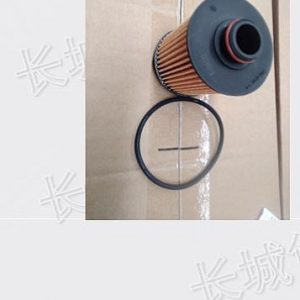 For GWM Tank 300 Tank 500 Engine Oil Filter Element Replacement Kit 1017110AEN01