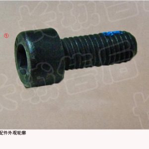 برغي غطاء رأس مفتاح سداسي لنظام تثبيت حزام الأمان في سيارة GWM Tank 500، رقم Q218B0820TFDSE