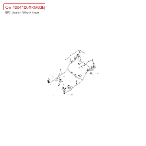 For GWM Tank 300 Cockpit Wiring Harness Assembly 4004100XKM03B
