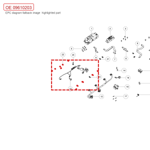 Para GWM Tank 700 Hi4 T: Conjunto de Clipes Plásticos e Abraçadeiras 09610203